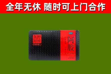 白云鄂博矿区回收阿胶