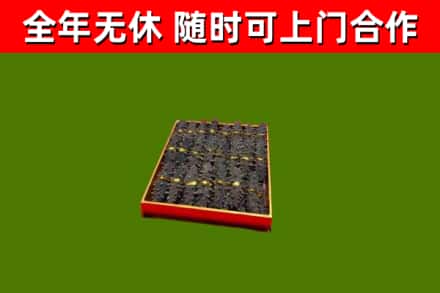 白云鄂博矿区回收海参